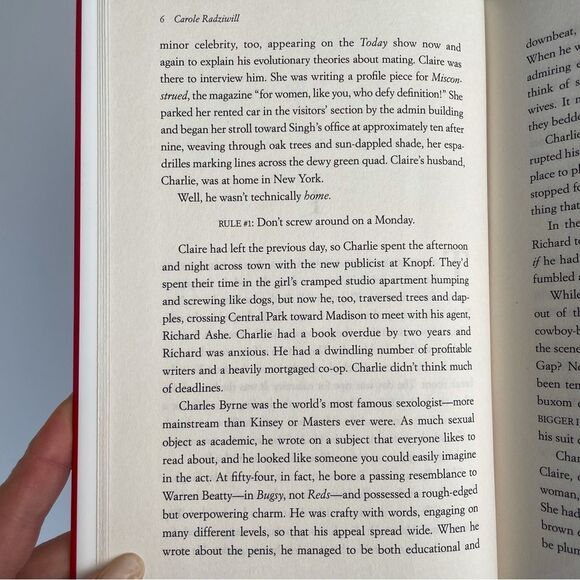 BOOK, The Widow’s Guide to Sex & Dating, a novel, 302 pages, Fiction, NOS - Picture 5 of 16